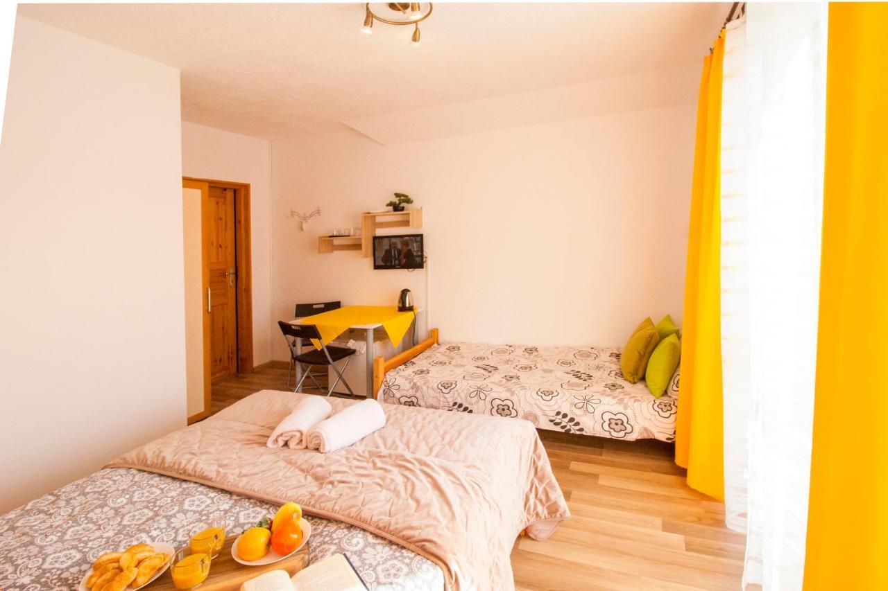 Bieszczadzki Brat Apartamenty Polańczyk Екстериор снимка
